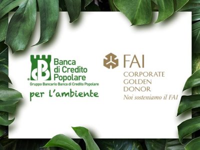 3772_177_FAINEWS